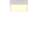 Потолочный светильник MAYTONI ZON C067CL-L27W3K